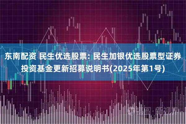 东南配资 民生优选股票: 民生加银优选股票型证券投资基金更新招募说明书(2025年第1号)