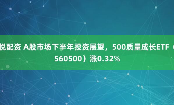 悦配资 A股市场下半年投资展望，500质量成长ETF（560500）涨0.32%