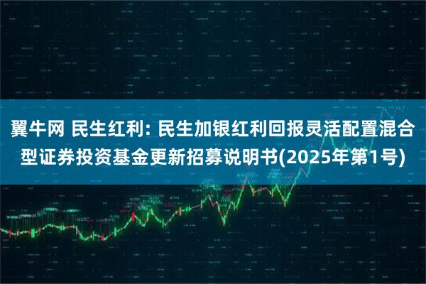 翼牛网 民生红利: 民生加银红利回报灵活配置混合型证券投资基金更新招募说明书(2025年第1号)