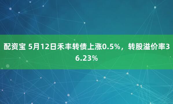 配资宝 5月12日禾丰转债上涨0.5%，转股溢价率36.23%