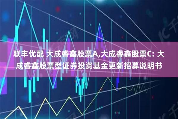 联丰优配 大成睿鑫股票A,大成睿鑫股票C: 大成睿鑫股票型证券投资基金更新招募说明书