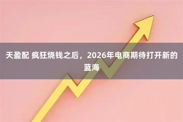 天盈配 疯狂烧钱之后，2026年电商期待打开新的蓝海