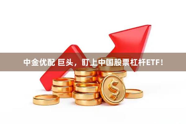 中金优配 巨头，盯上中国股票杠杆ETF！